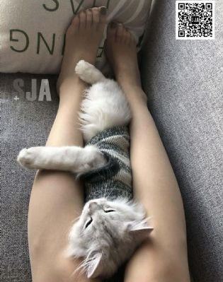 中文字幕久久久久人妻中出夜夜嗨_BD国语在线视频观看