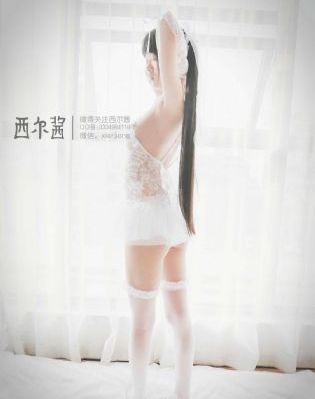 九1在线观看_DVD国语在线观看