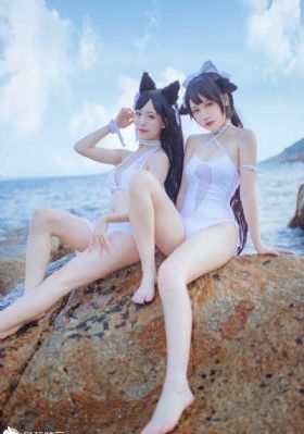 野猫视频成人app_超清在线手机播放