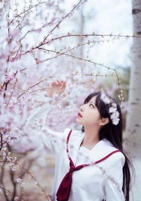 欧洲野花视频天堂视频5的观看方式_720在线观看视频